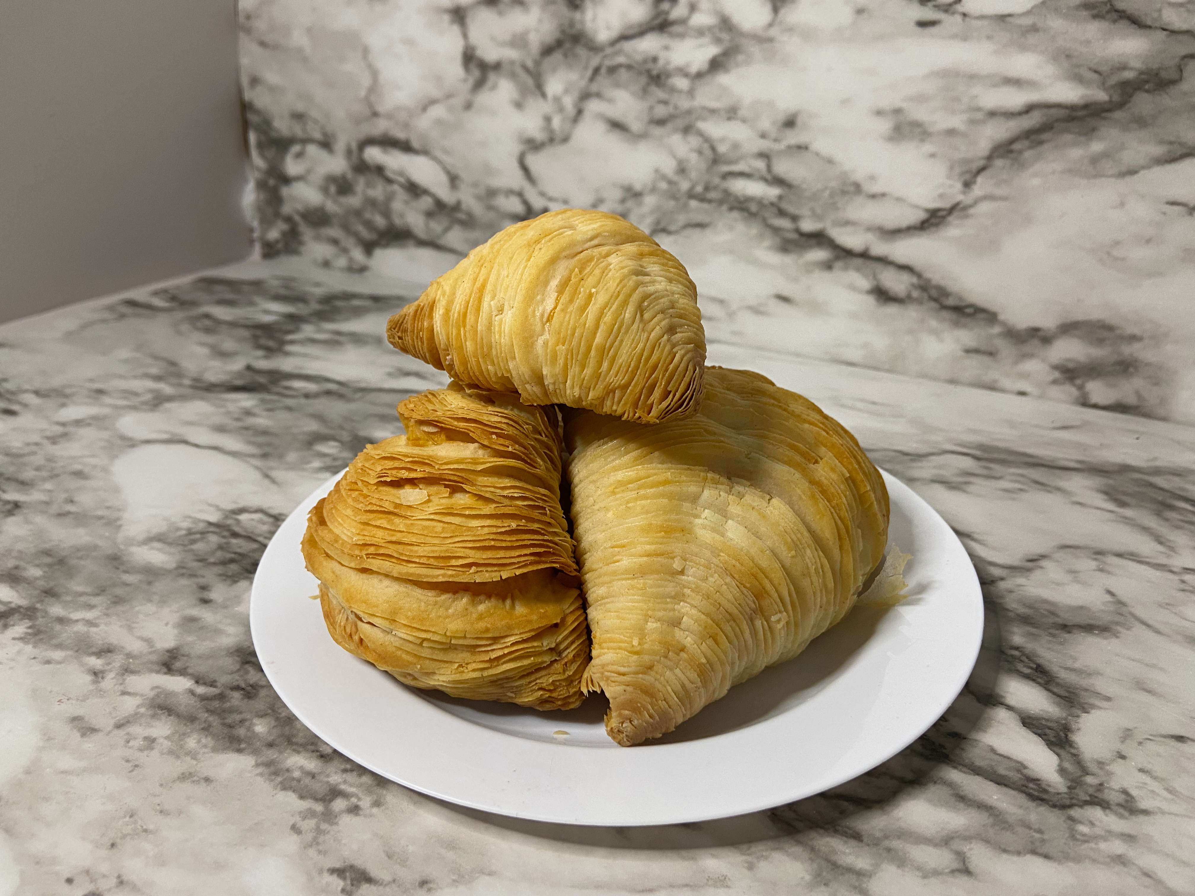 Sfogliatella Large
